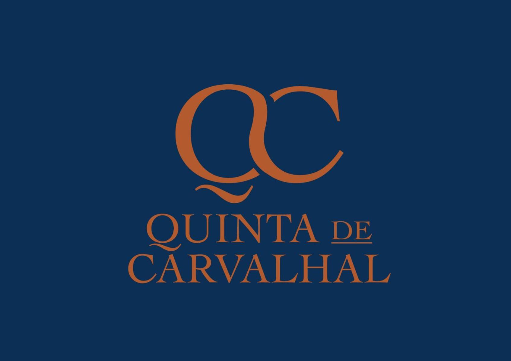 Vila Quinta De Carvalhal - Casa Da Vinha Guimarães Exteriér fotografie